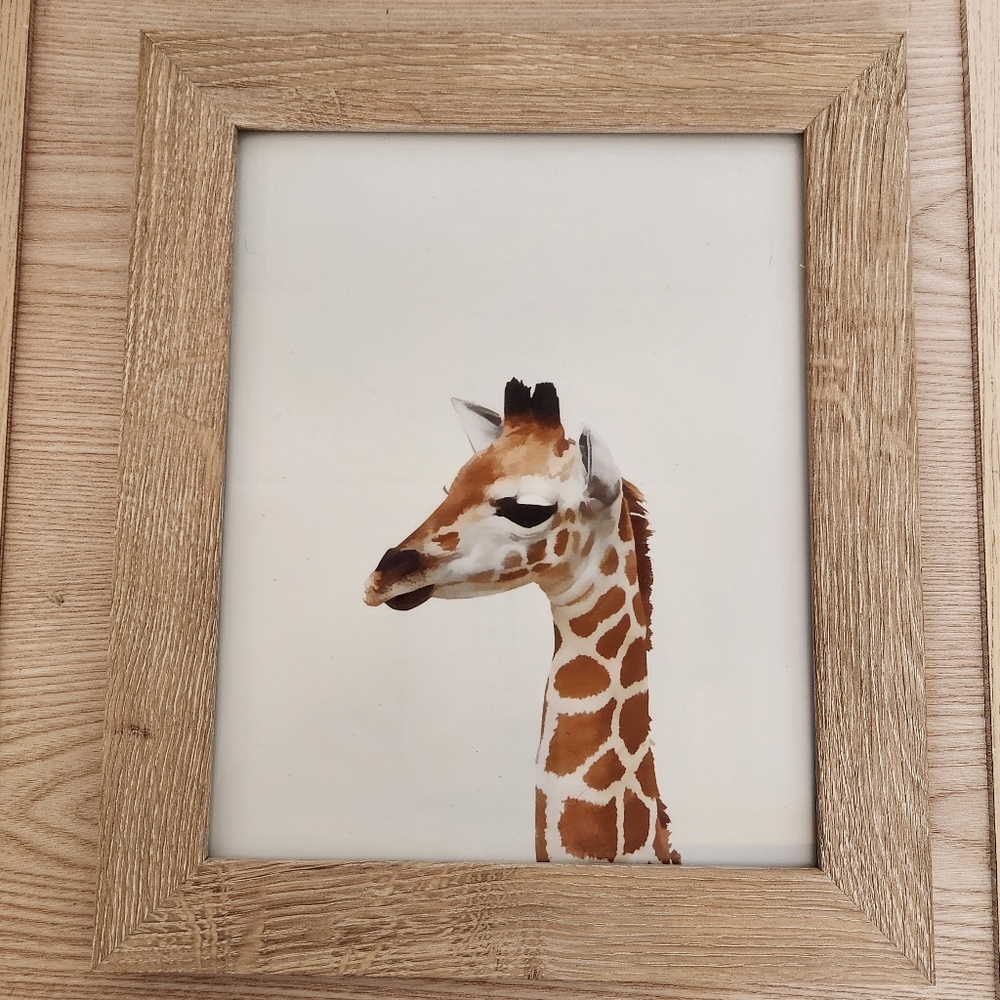 Room Essentials Alabaster Oak Frame w/ Baby Giraffe Art